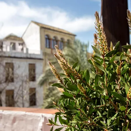 Prázdninový dům Munda Moon Córdoba